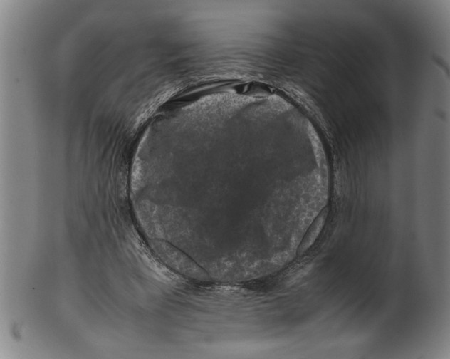 X0000099410393200806060937