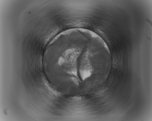 X0000099410394200806060937