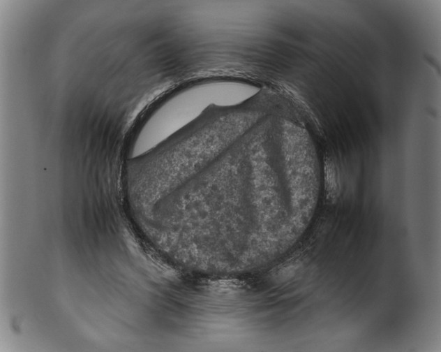 X0000099410396200806060936