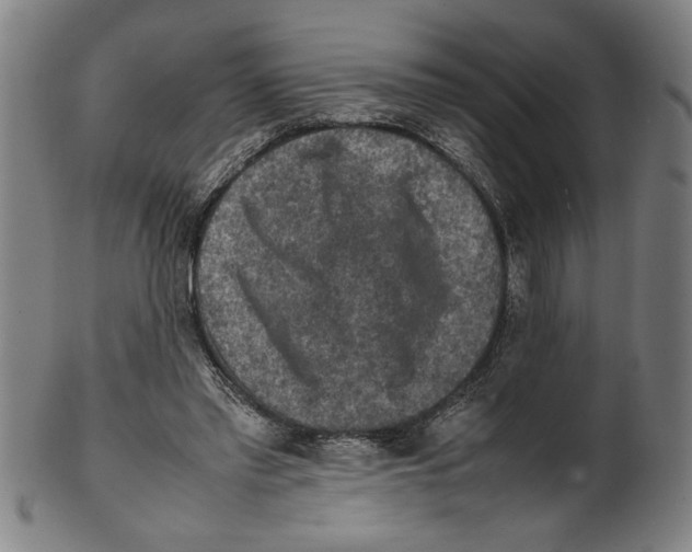 X0000099410397200806060936