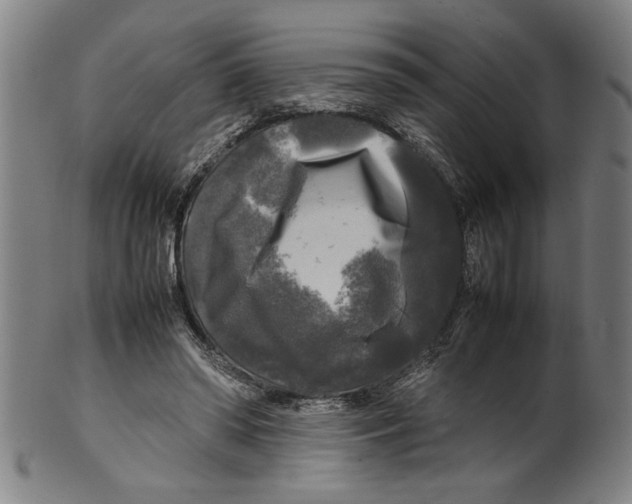 X0000099410398200806060936