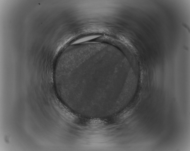 X0000099410399200806060936