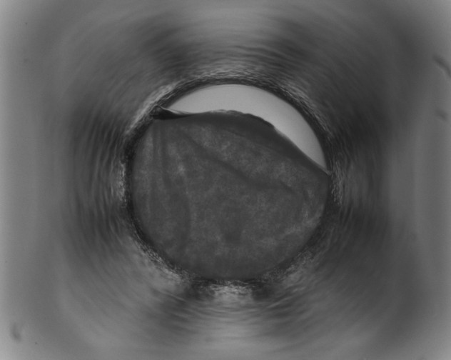 X0000099410400200806060936