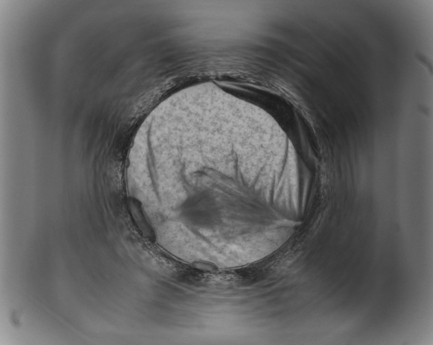 X0000099410401200806060936