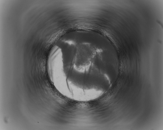 X0000099410402200806060936