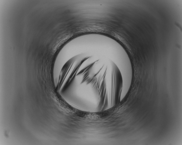 X0000099410403200806060936