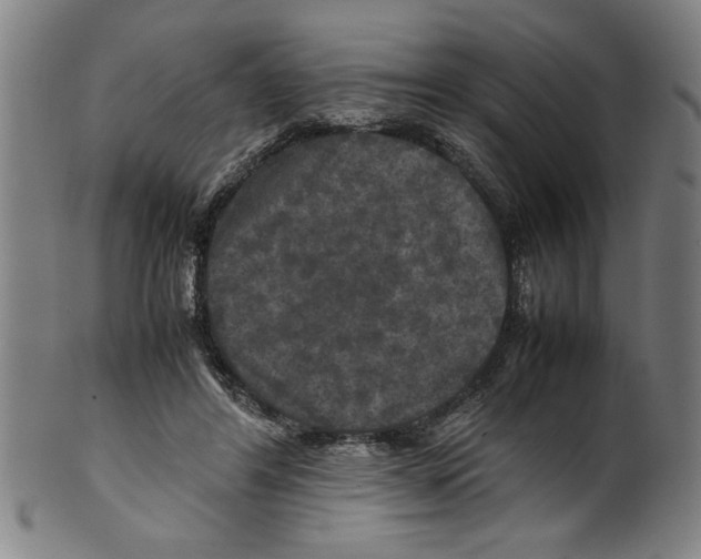 X0000099410404200806060936