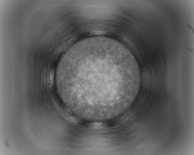 X0000099410406200806060936