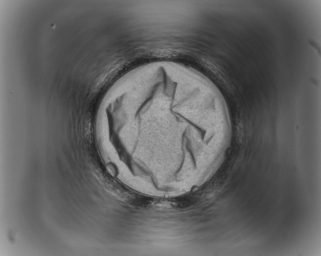 X0000099410407200806060936