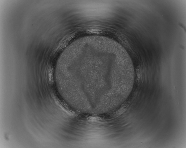 X0000099410408200806060936