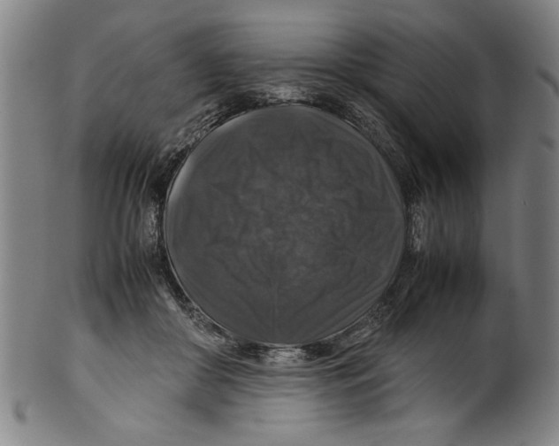 X0000099410410200806060936