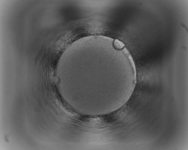 X0000099410411200806060936