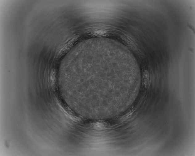 X0000099410412200806060936