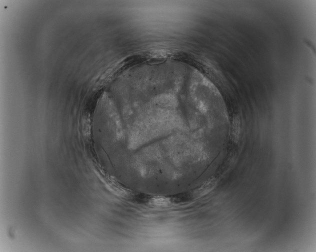 X0000099410413200806060936