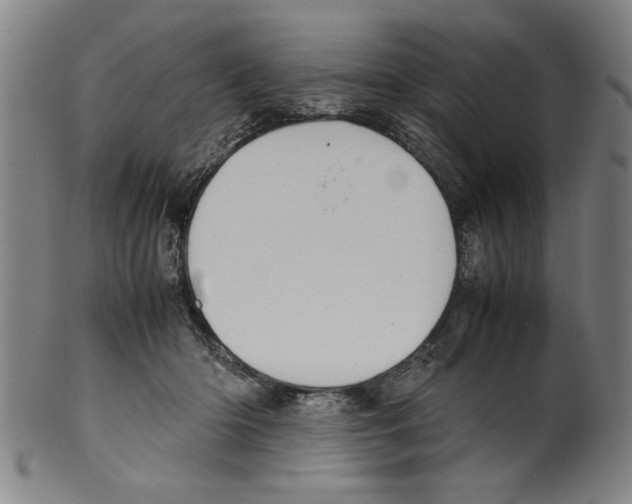 X0000099410414200806060936