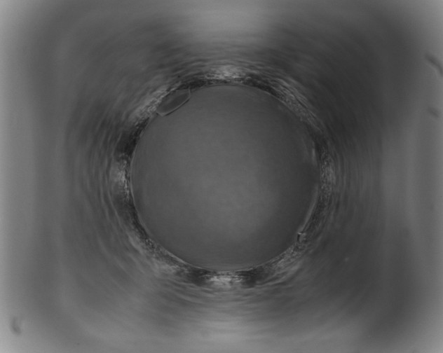 X0000099410415200806060936