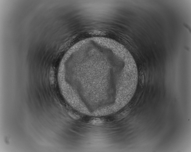 X0000099410416200806060936