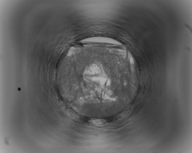 X0000099410417200806060936