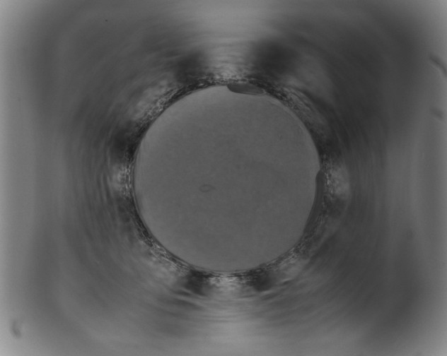 X0000099410419200806060936