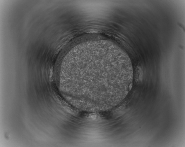 X0000099410420200806060936