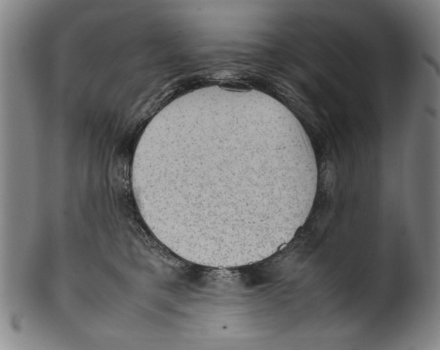 X0000099410421200806060936