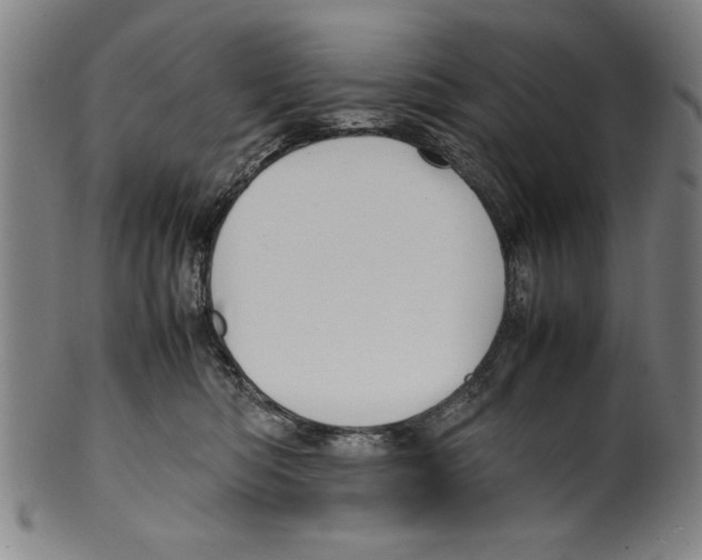 X0000099410422200806060936