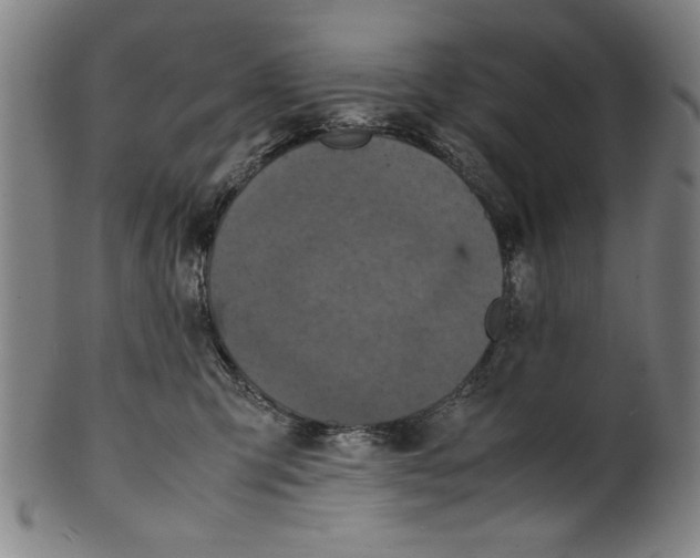 X0000099410423200806060936