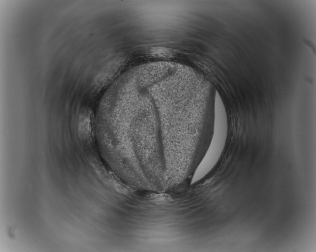 X0000099410424200806060936