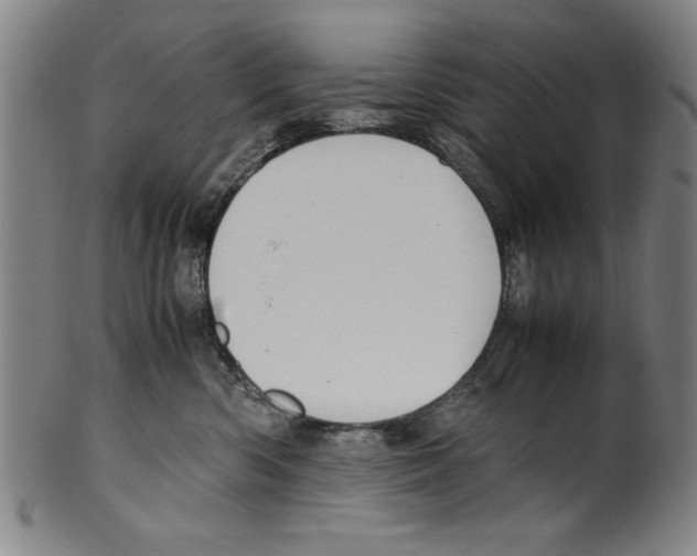 X0000099410426200806060936