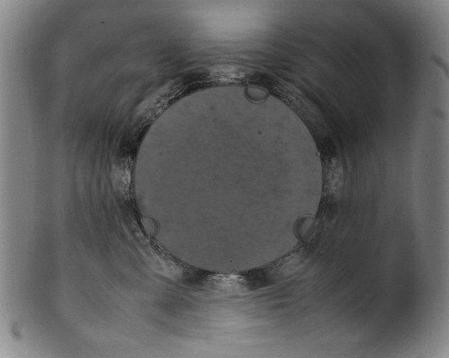 X0000099410427200806060936