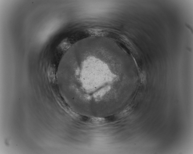 X0000099410429200806060936