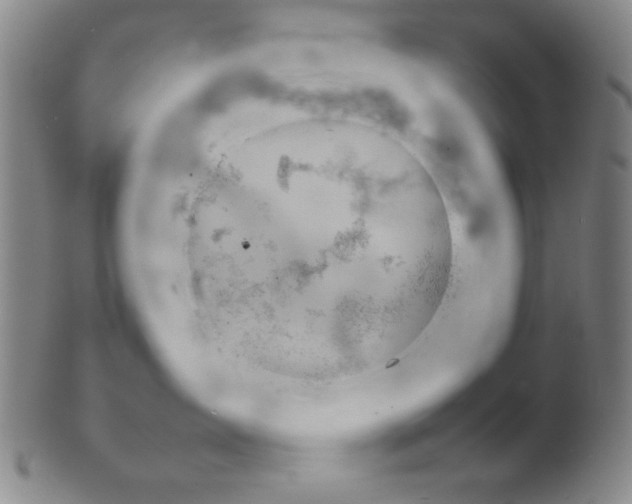 X0000099410431200806060936