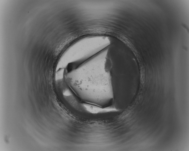 X0000099410434200806060935