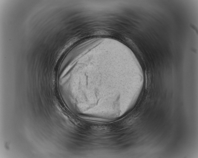 X0000099410435200806060935