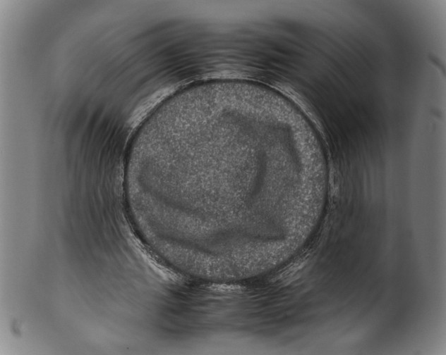 X0000099410437200806060935