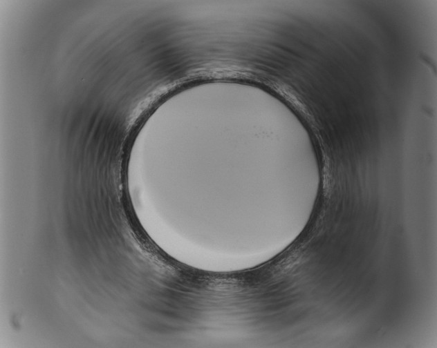 X0000099410438200806060935