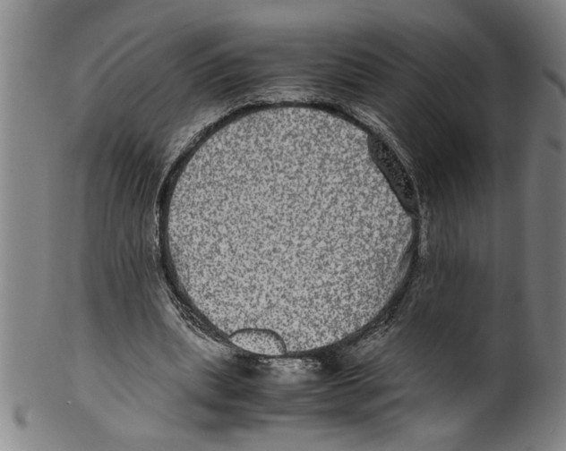 X0000099410439200806060935