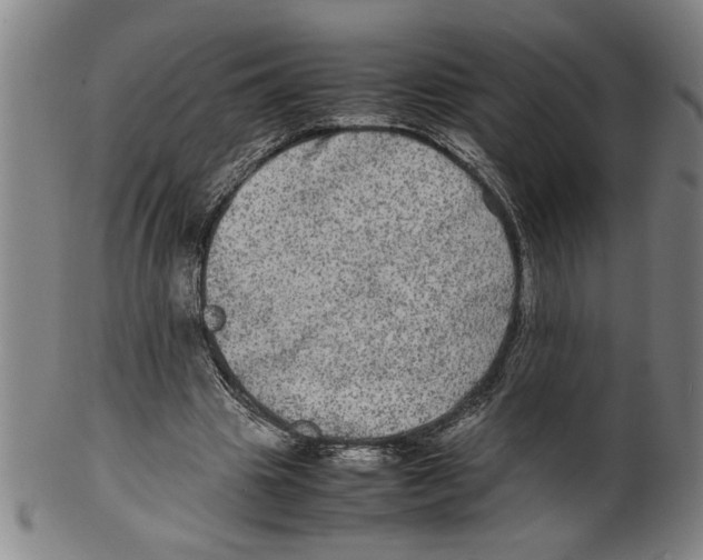 X0000099410441200806060935