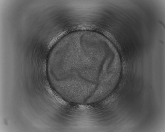 X0000099410442200806060935