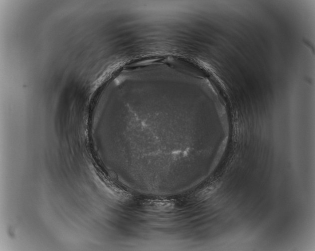 X0000099410443200806060935