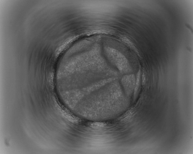 X0000099410444200806060935