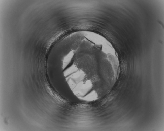 X0000099410446200806060935