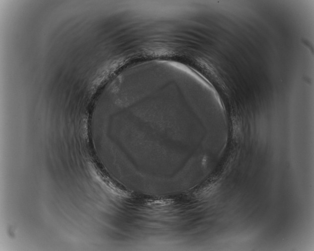 X0000099410447200806060935