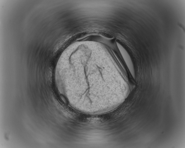 X0000099410448200806060935