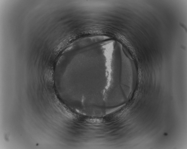 X0000099410449200806060935