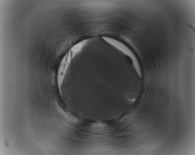 X0000099410451200806060935