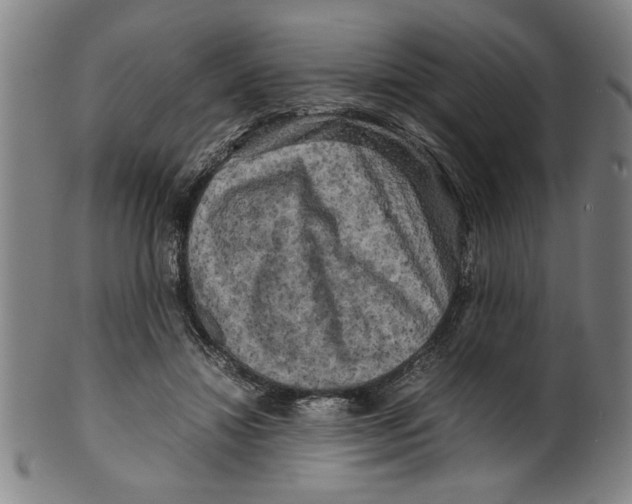 X0000099410452200806060935