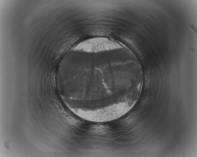 X0000099410453200806060935