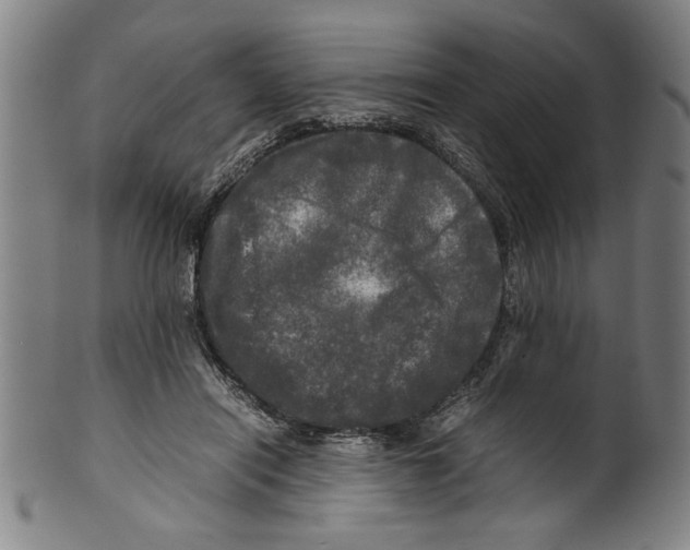 X0000099410454200806060935