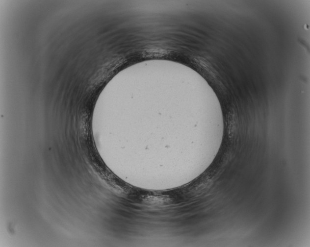 X0000099410455200806060935